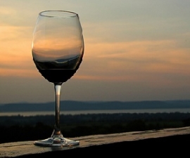 Slash Wine Tour Villa Verucchio