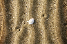Spiaggia Riccione