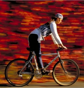 Sport Fitness Bicicletta