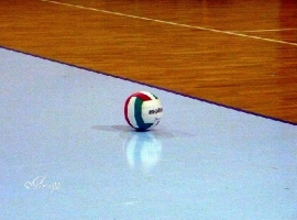 Stop Viserba Volley