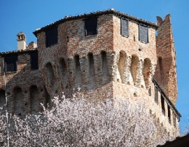 Tour Operator A Cattolica