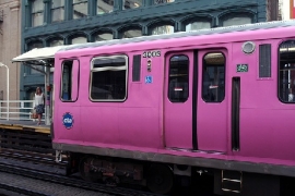 Treni Rosa Navette Bus Riviera