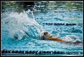 Trofeo Nuoto Giovani Uisp Forlì