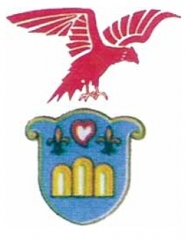 Tropical Coriano Rimini Calcio