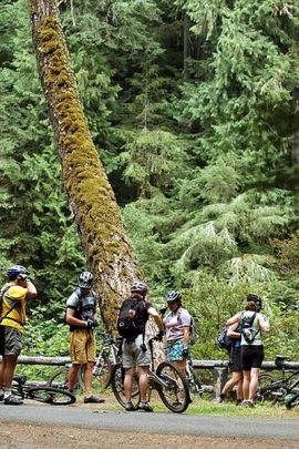 Turisti Tedeschi Biciclettta