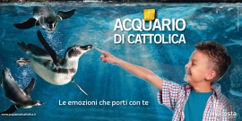 Offerte Acquario di Cattolica