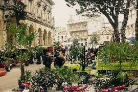 Centro Storico Morciano di Romagna