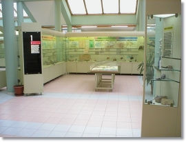 Museo Del Territorio Riccione