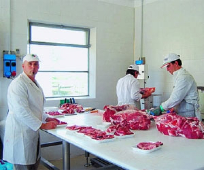 Azienda agricola An.fo.ra. Azienda agricola An.fo.ra.