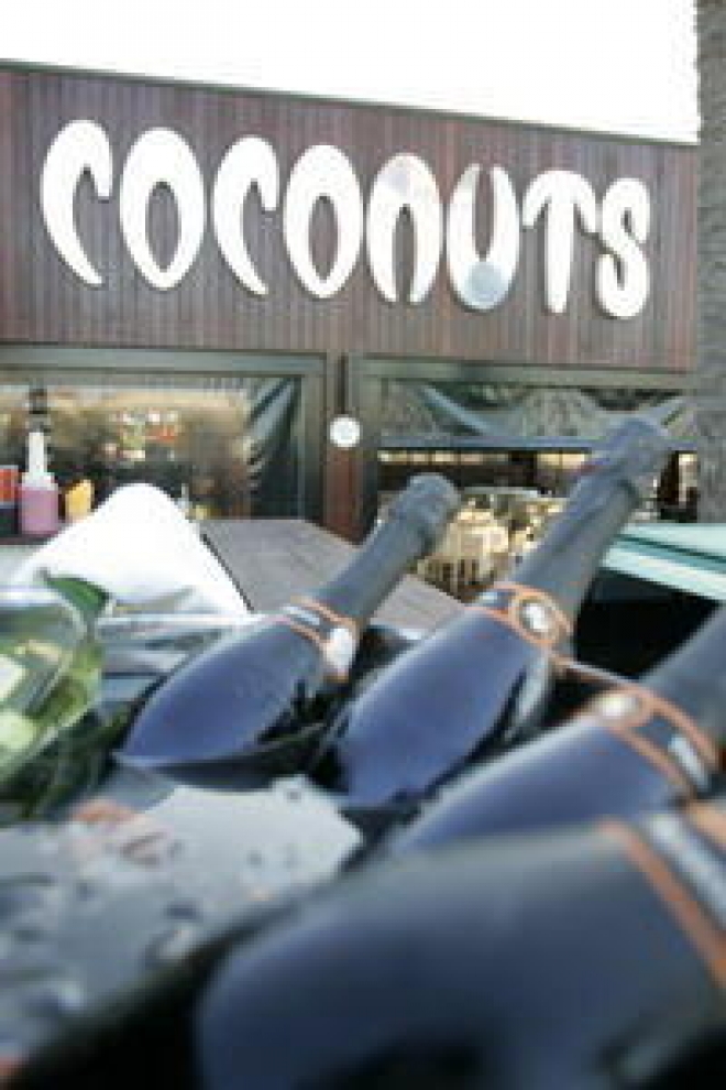Coconuts Congiunzioni Notturne