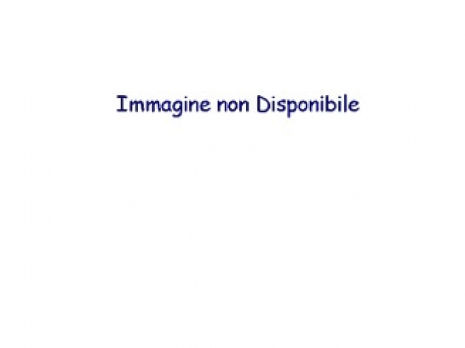 Immagine non Disponibile Immagine non Disponibile