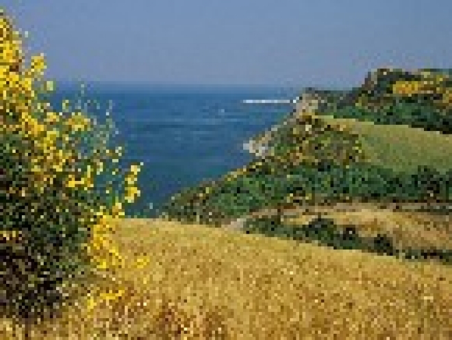Pesaro ambiente Pesaro ambiente
