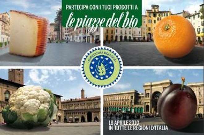 Le Piazze Del Bio Le Piazze Del Bio