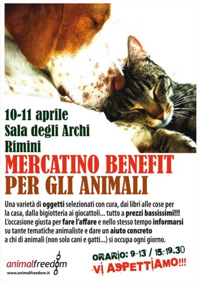 Mercatino Beneficenza Rimini Mercatino Beneficenza Rimini