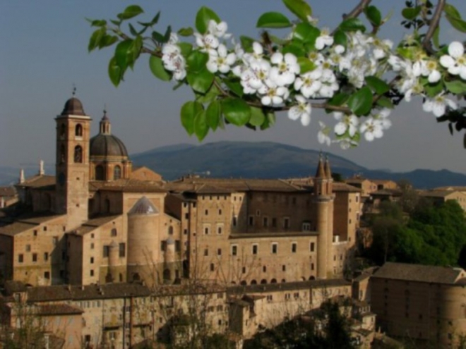 Mercato settimanale Urbino Mercato settimanale Urbino