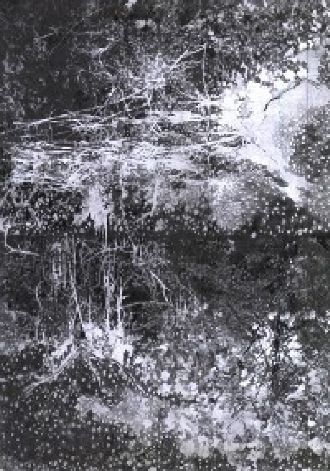 Mostra Critica in Arte: Dacia Manto, Root (Route), 2005, grafite su carta, 100 x 70 cm.