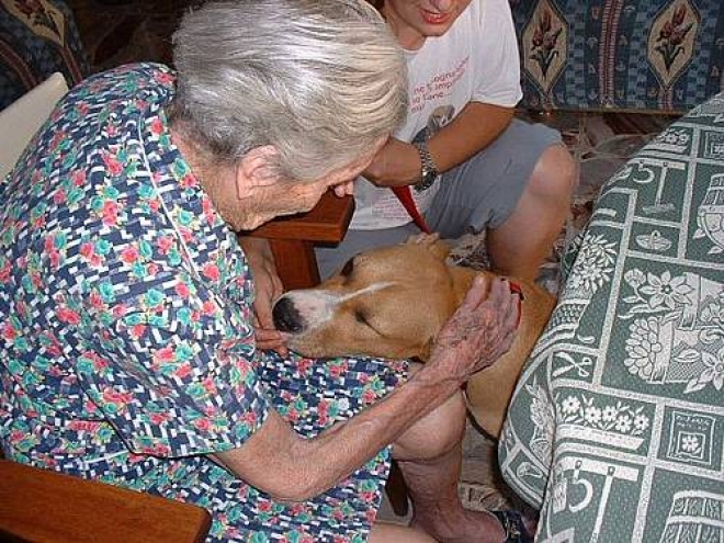 Pet Therapy Pet Therapy