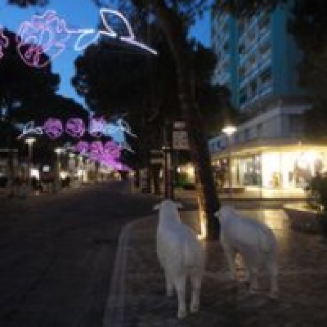 Presepe Artistico Milano Marittima Presepe Artistico Milano Marittima