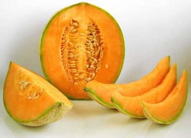 Sagra Del Melone Sagra Del Melone