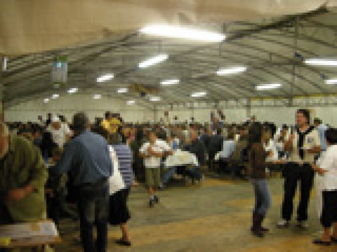 Sagra della Patata Sagra della Patata