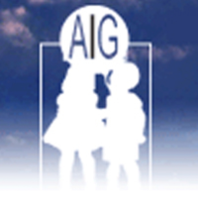 Convegno AIG Convegno AIG