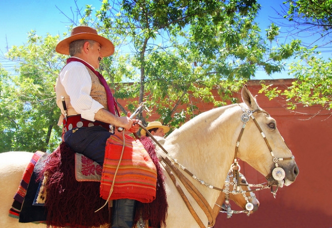 salone del cavallo americano 2015