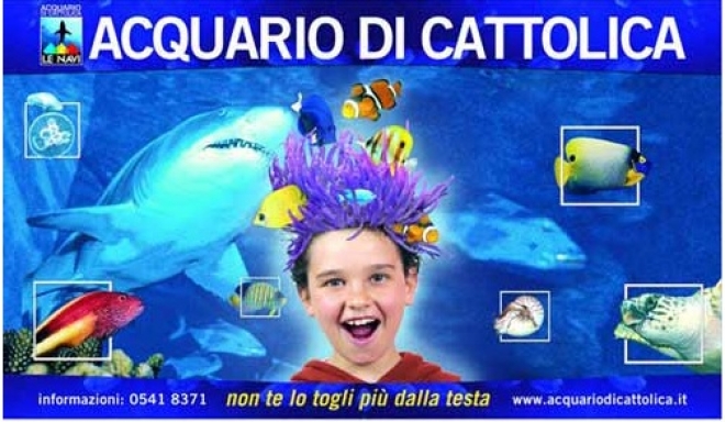 Acquario Cattolica Caimani Nani Acquario Cattolica Caimani Nani