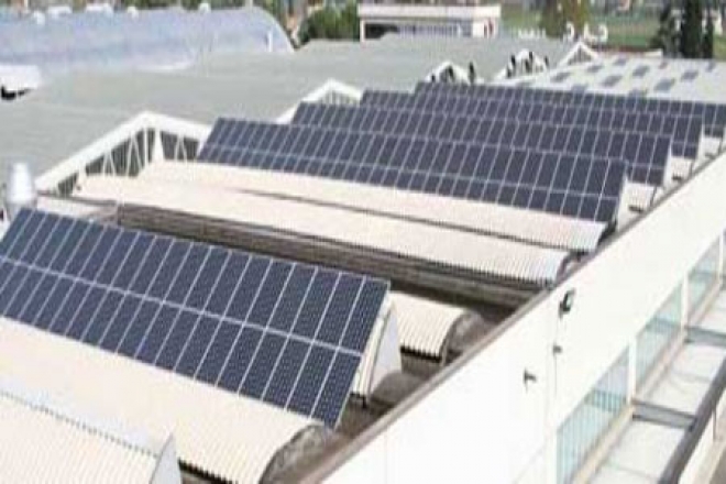 Allarme Decreto Ammazza Green Economy Allarme Decreto Ammazza Green Economy