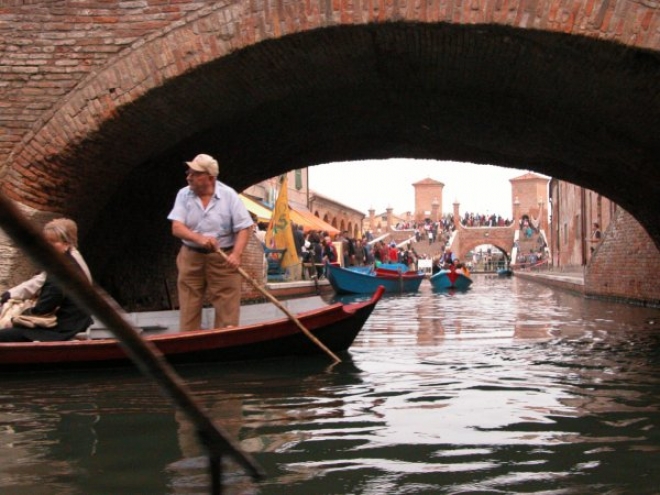 Anguilla di Comacchio Anguilla di Comacchio