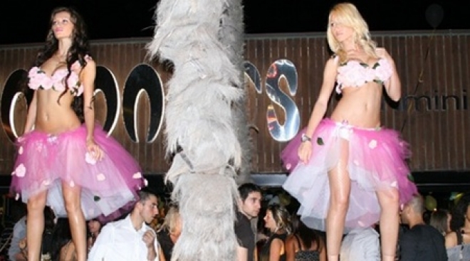 Apertura Coconuts Apertura Coconuts