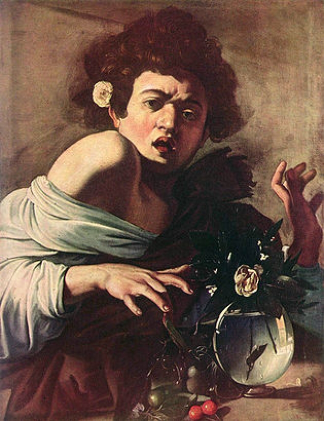 Caravaggio Fanciullo morso da un ramarro Caravaggio Fanciullo morso da un ramarro