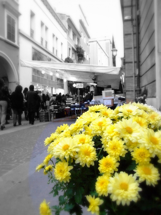 Balconi Fioriti Santarcangelo Balconi Fioriti Santarcangelo