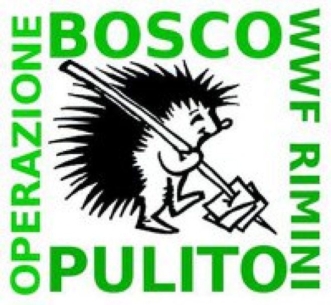 Bosco Pulito Marzo 2011 Bosco Pulito Marzo 2011