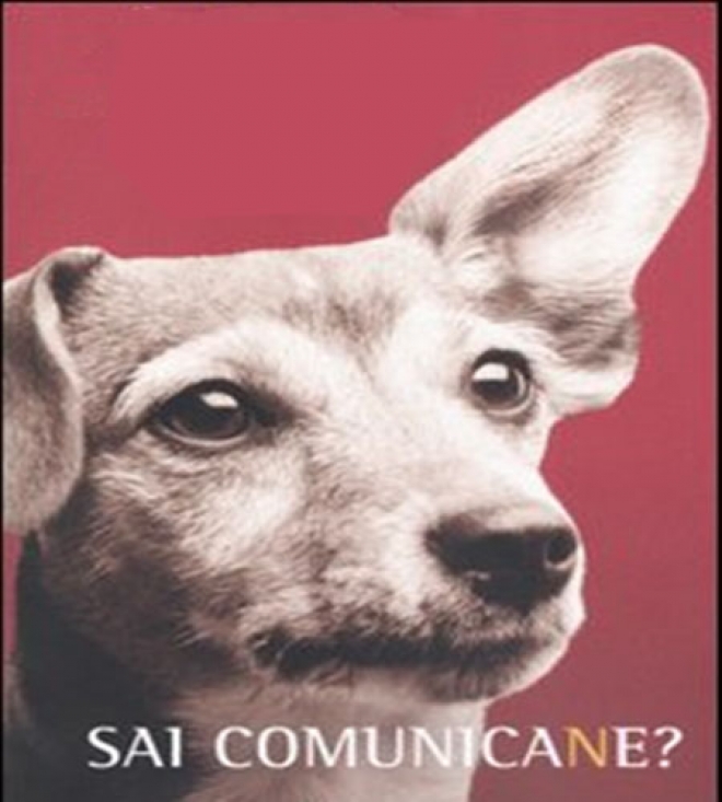 Comunicane Bellaria Igea Marina Comunicane Bellaria Igea Marina