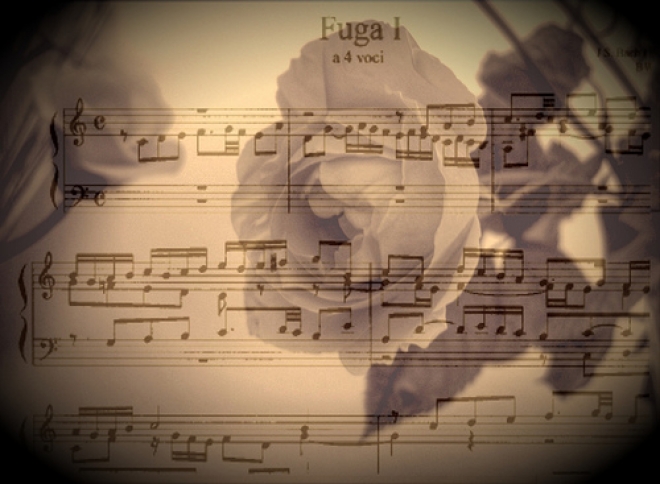 Concerto Piano Shino Moroto Concerto Piano Shino Moroto