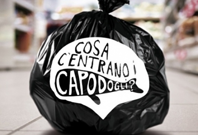 Cosa C'entrano I Capodogli Teatro Astra Bellaria Cosa C'entrano I Capodogli Teatro Astra Bellaria