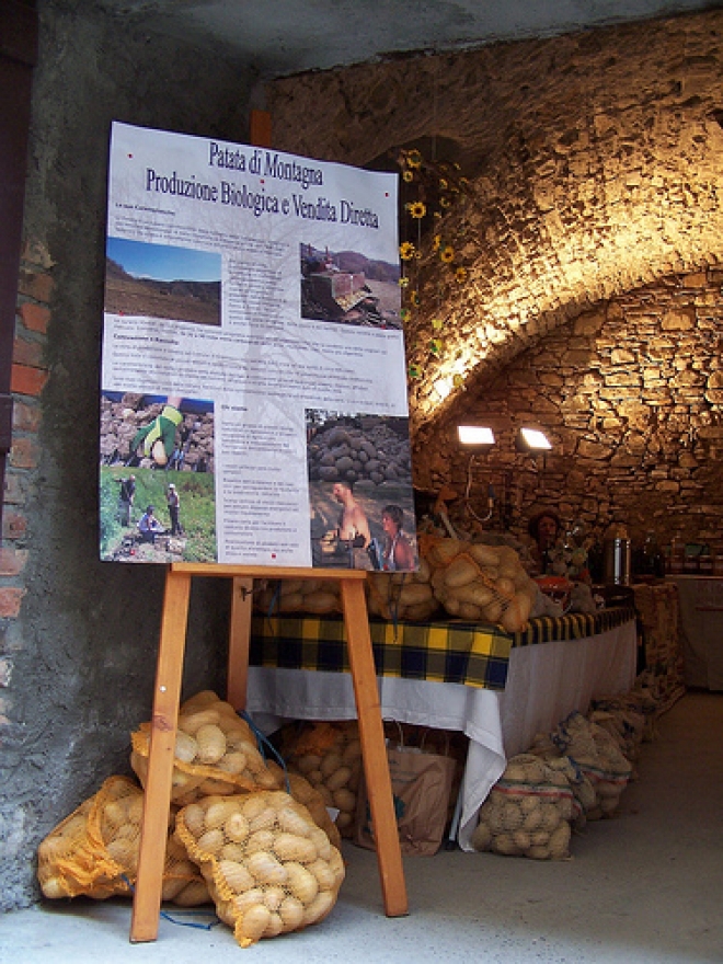 Eccellente agricoltura biologica a Sadurano Eccellente agricoltura biologica a Sadurano