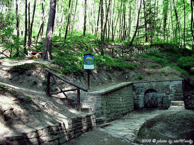 Escursioni Eremo Camaldoli Escursioni Eremo Camaldoli