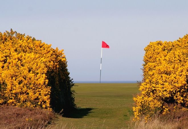 Eventi e promozione Adriatic Golf Club Eventi e promozione Adriatic Golf Club