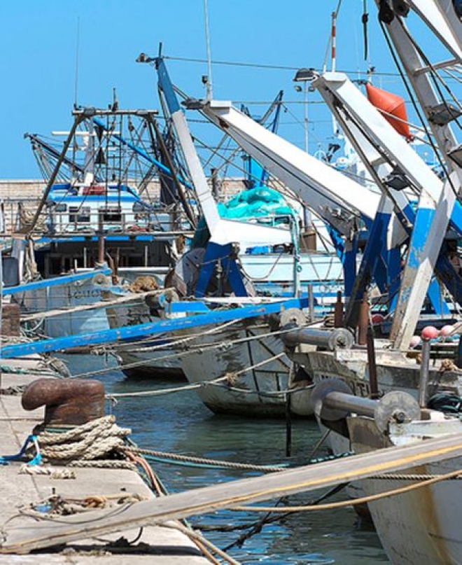 Fermo Pesca Adriatico Fermo Pesca Adriatico