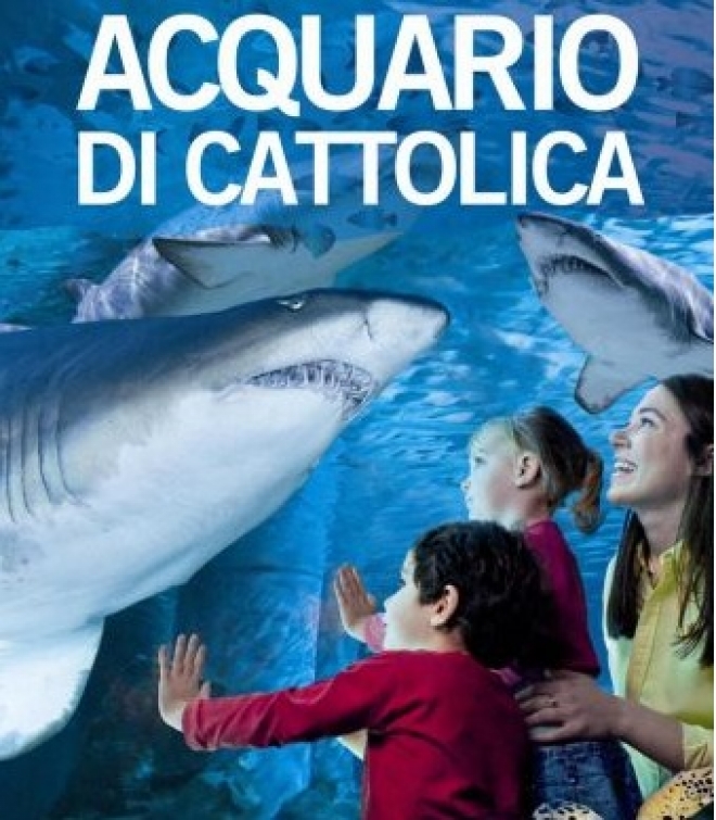 Ferragosto 2011 Acquario Cattolica