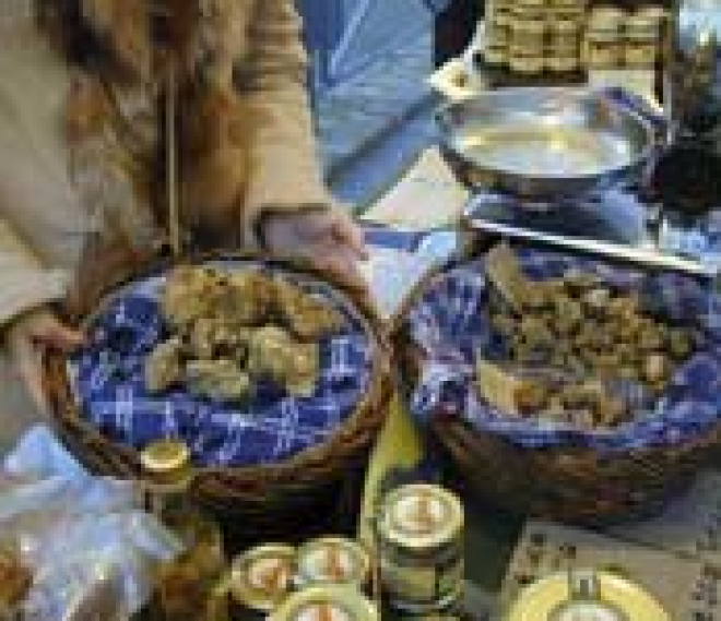 Fossa Tartufo & Cerere tartufo Fossa Tartufo & Cerere tartufo