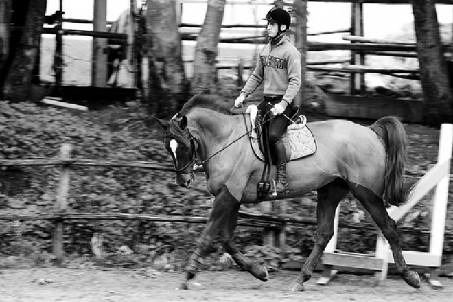 Gran Premio Riviera Horses Gran Premio Riviera Horses