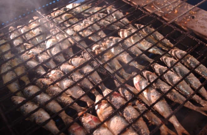 Il Pesce Fa Festa Cesenatico