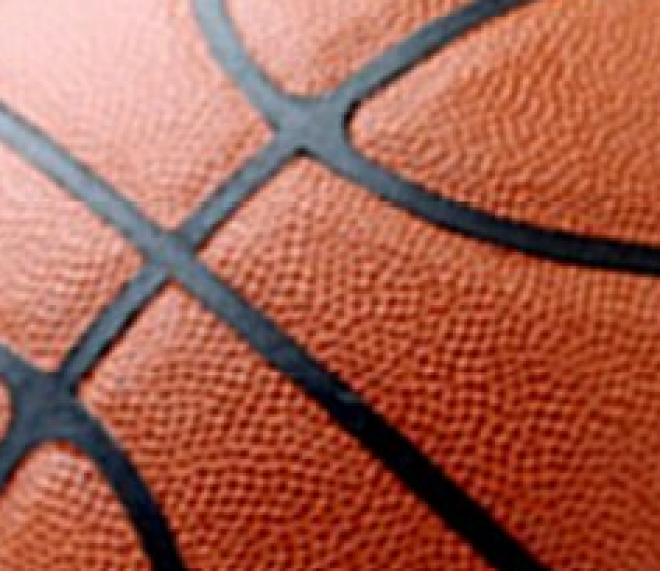 basket basket