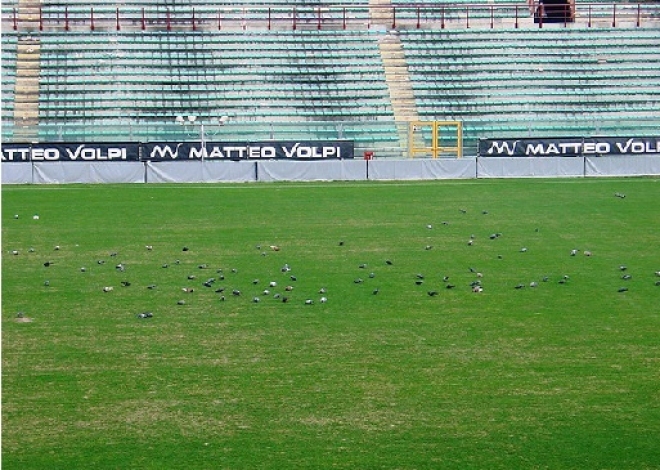 Incognite Stadio Neri Rimini Incognite Stadio Neri Rimini