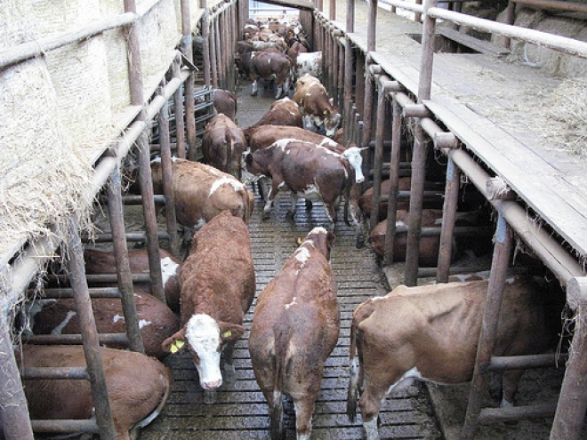 L’alta Valmarecchia produrrà presto biogas L’alta Valmarecchia produrrà presto biogas