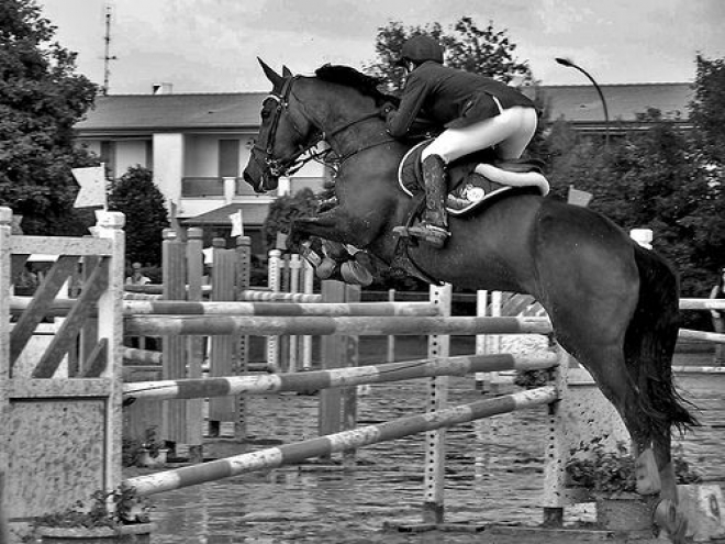 Le Siepi Ippica Cervia Le Siepi Ippica Cervia
