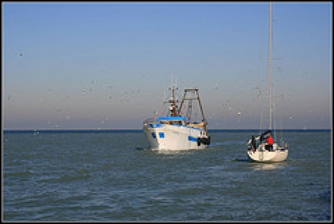 Manifestazione della nautica alla darsena di Rimini Manifestazione della nautica alla darsena di Rimini