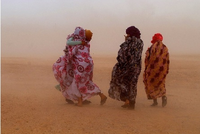 Misano Bimbi Saharawi Misano Bimbi Saharawi